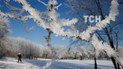 Морози зміняться стрімким потеплінням: синоптики дали прогноз на другу половину тижня
