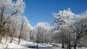 Субота буде без опадів, але з туманами. Прогноз погоди на 27 січня