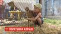 В Хмельницком спасают молодую косулю, которая попала в ловушку браконьеров