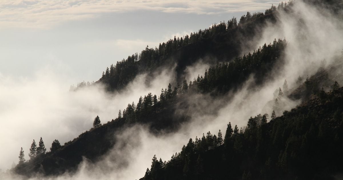Синоптики обещают туманы и похолодание. Прогноз погоды до конца недели