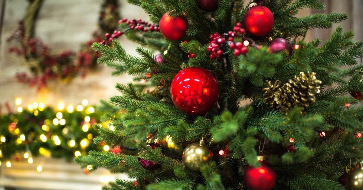 Навіщо вішати лавровий лист на новорічну ялинку