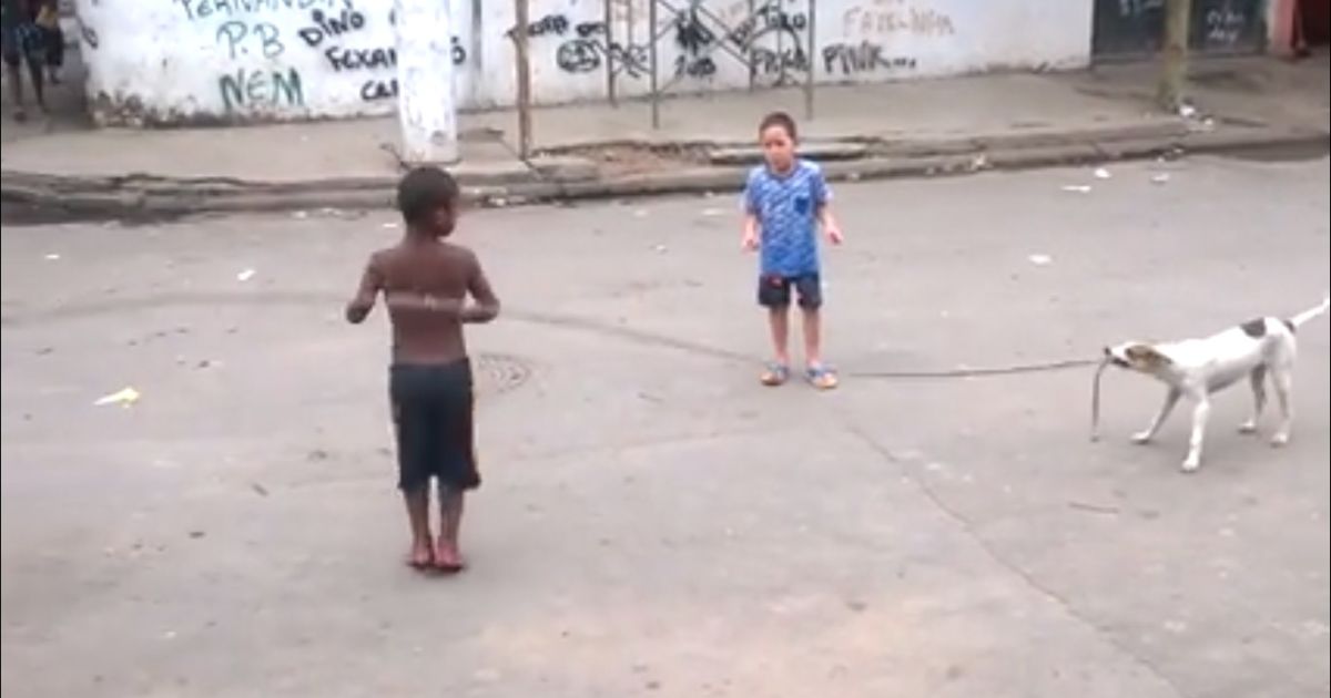 Юзеров удивил ловкий песик