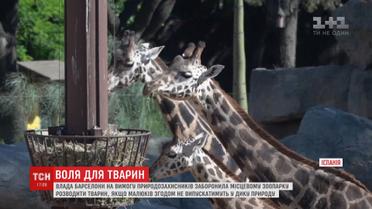 У Барселоні заборонили розводити тварин, якщо їхніх малюків згодом не випускатимуть до дикої природи
