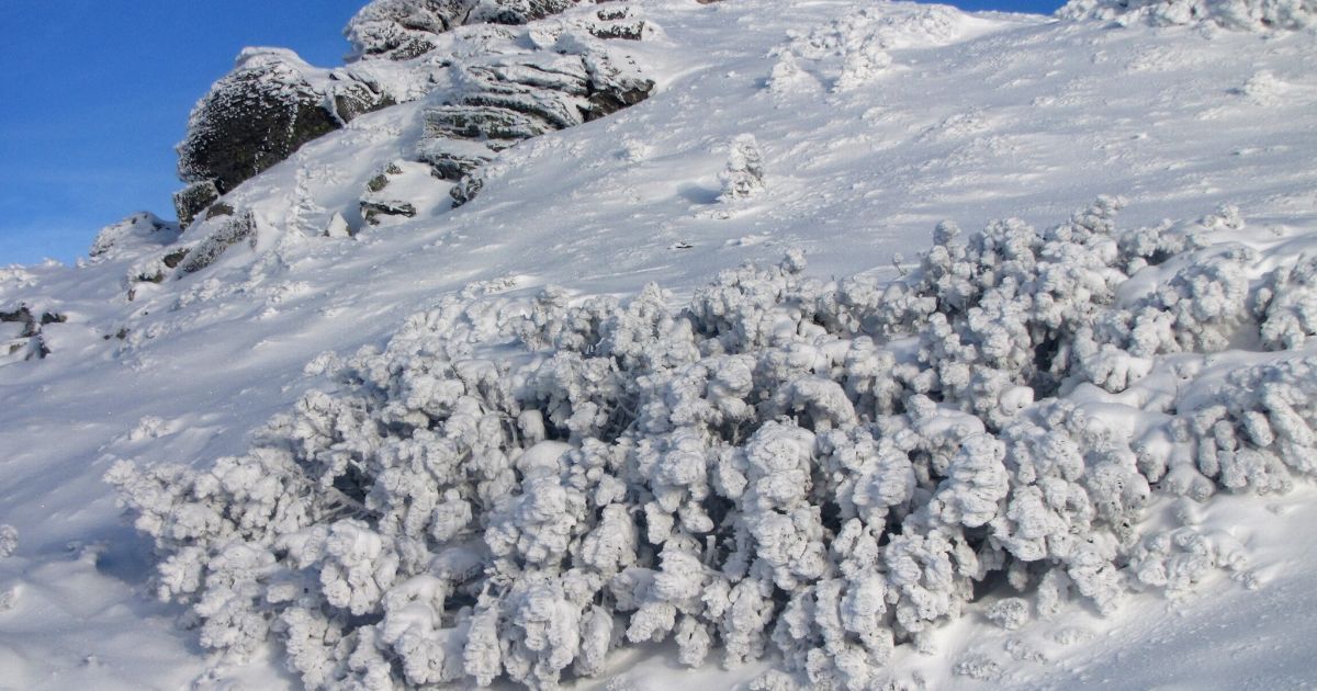 фото/Василий Фицак, Facebook