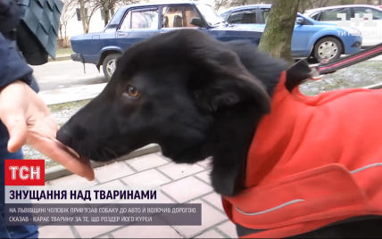 Под Львовом мужчина жестоко издевался над собакой: привязал пса к авто и волочил селом