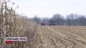 Без хлеба Украина не останется: как выживают аграрии во время войны