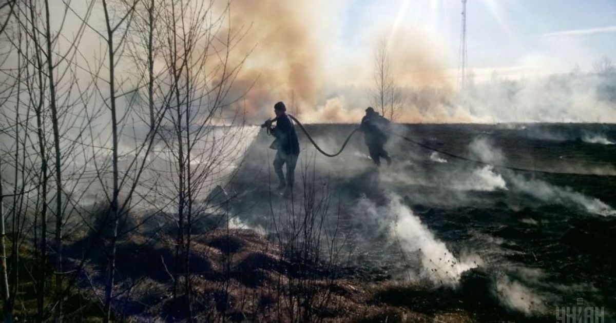 В крупнейшем парке Запорожья произошел масштабный пожар