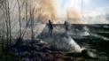 У найбільшому парку Запоріжжя сталася масштабна пожежа