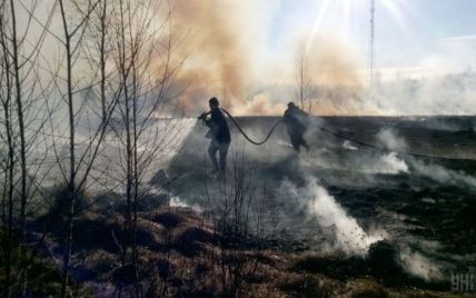 В крупнейшем парке Запорожья произошел масштабный пожар