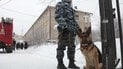 "Я пришел, чтобы умереть": 5 самых кровавых нападений в школах в России