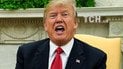 "Шатдаун" сорвал Трампу празднование первой годовщины президентства на роскошном курорте во Флориде