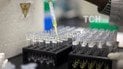 У ФІФА не знайшли доказів застосування допінгу російськими футболістами
