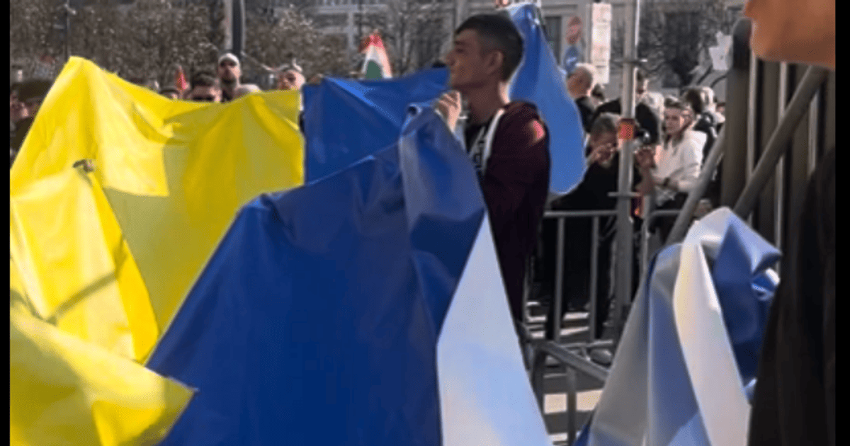 Украинский флаг в Венгрии