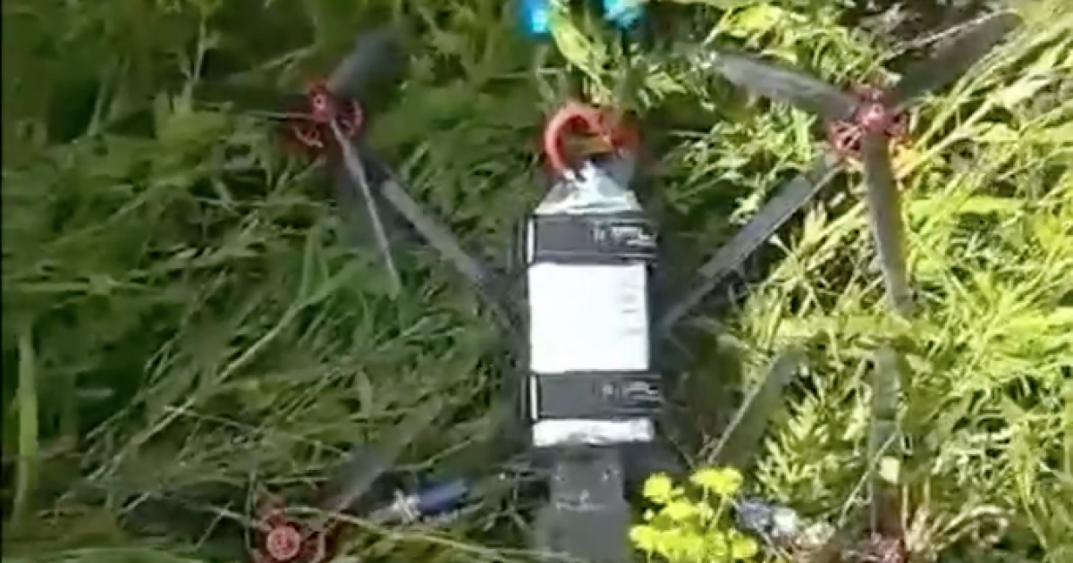 Беспилотник в России. Фото: скриншот.