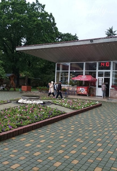 Село Солочин, відпочинок на Закарпатті / © lady.tsn.ua