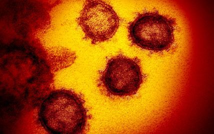 Популярні ліки від печії підвищують ризик інфікування новим коронавірусом - дослідження