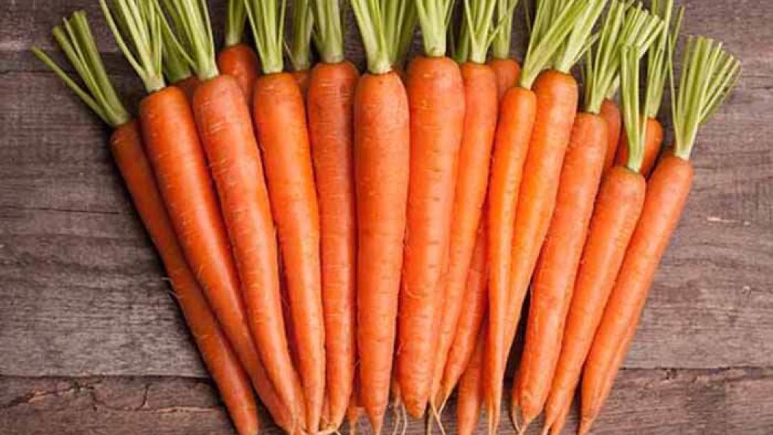 Користь моркви для зрілого віку