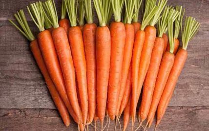 Морковная ботва для зрения