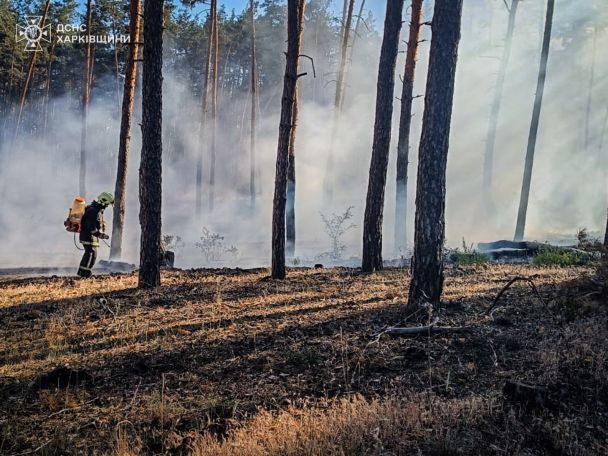 Пожежі на Харківщині Фото: ДСНС України