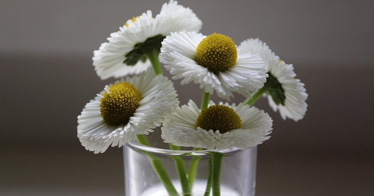 Який сьогодні, 11 травня, день ангела