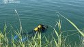 17-летний парень утонул в Запорожье