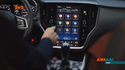 Подборка курьезных приключений со всей планеты