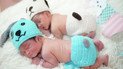 У Бангкоку немовлят одягли у в'язані костюмчики собачок напередодні Нового року