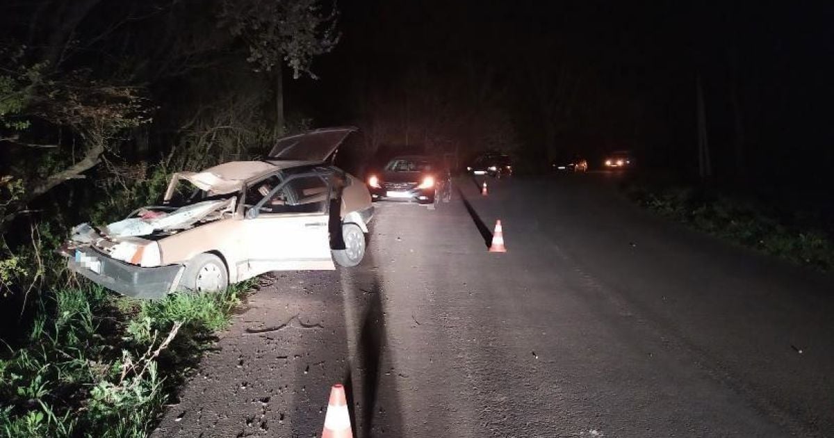 Водій під наркотиками влетів в дерево у Львівській обасті: внаслідок ДТП загинула його дружина (фото)