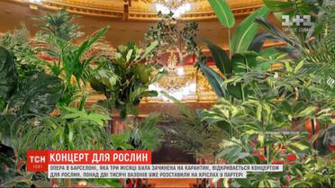 Опера в Барселоне, которая была закрыта на карантин, открывается концертом для растений