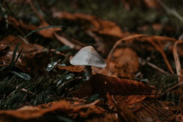 Народні прикмети 28 жовтня / © unsplash.com