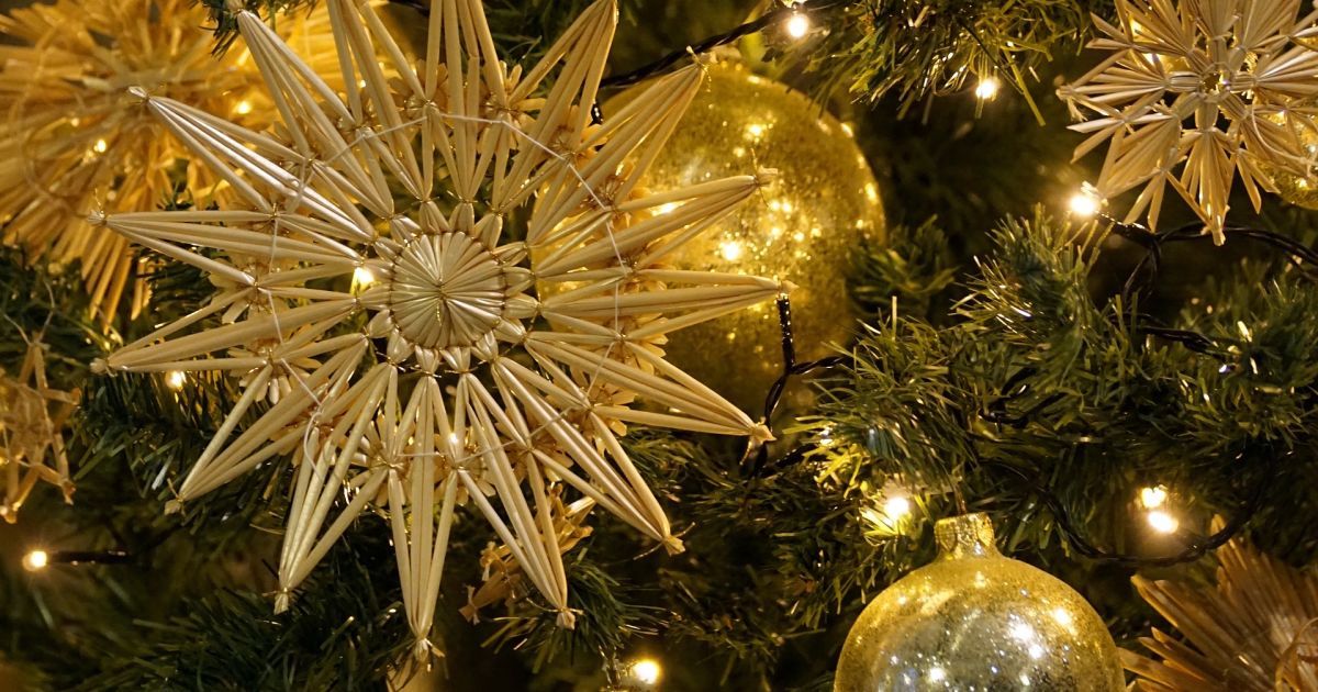 "Незламна" ялинка: Кличко розповів, як та за чий кошт у Києві прикрасять новорічне дерево