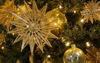 "Незламна" ялинка: Кличко розповів, як та за чий кошт у Києві прикрасять новорічне дерево