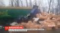 На трассе "Киев-Чоп" грузовик со всей силы въехал в припаркованную на обочине фуру