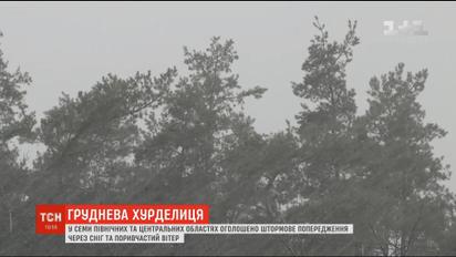 Непогода в Украине: синоптики прогнозируют до 20 сантиметров снега