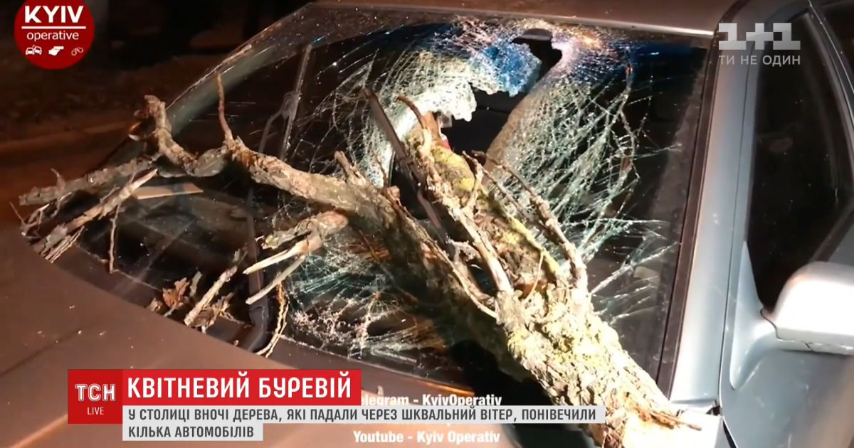 Уничтоженные деревья, электросети и погибшая женщина: Киевщина уже сутки оправляется от мощного урагана