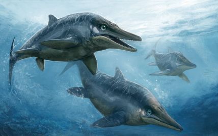 Были одними из самых быстрых существ в океане: ученые обнаружили череп одного из последних ихтиозавров