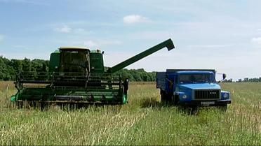 Стратегический аграрный экспорт №2: в чем ценность рапса