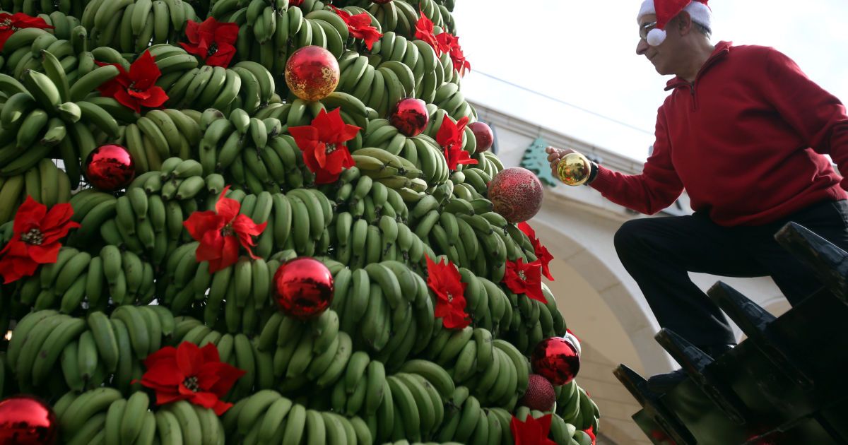 ялинка з бананів_4 / © Reuters
