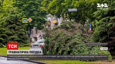 Новини України: у Дніпрі чоловік на "Ланосі" протаранив три велетенські ялинки