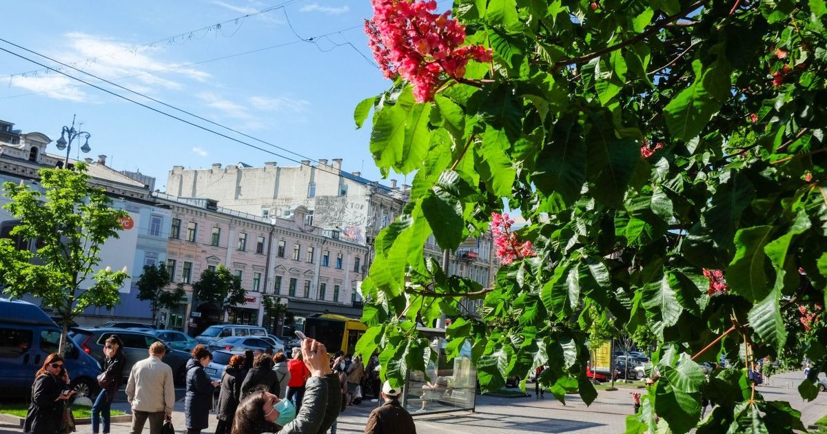 Киев резко подскочил в рейтинге самых дорогих городов для эмигрантов