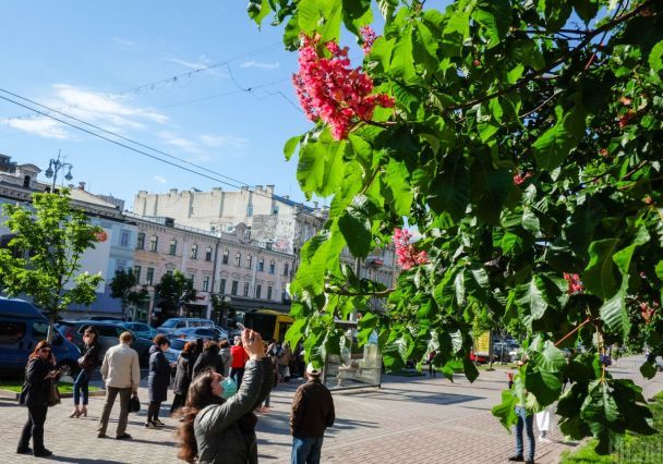 До Києва після нашестя холоднечі прийде потепління: синоптики назвали точну дату зміни погоди