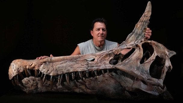 Пекельна чапля, яку ще не бачила наука: вчені виявили рештки унікального динозавра з гребенем