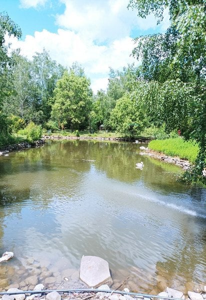 Село Солочин, відпочинок на Закарпатті / © lady.tsn.ua