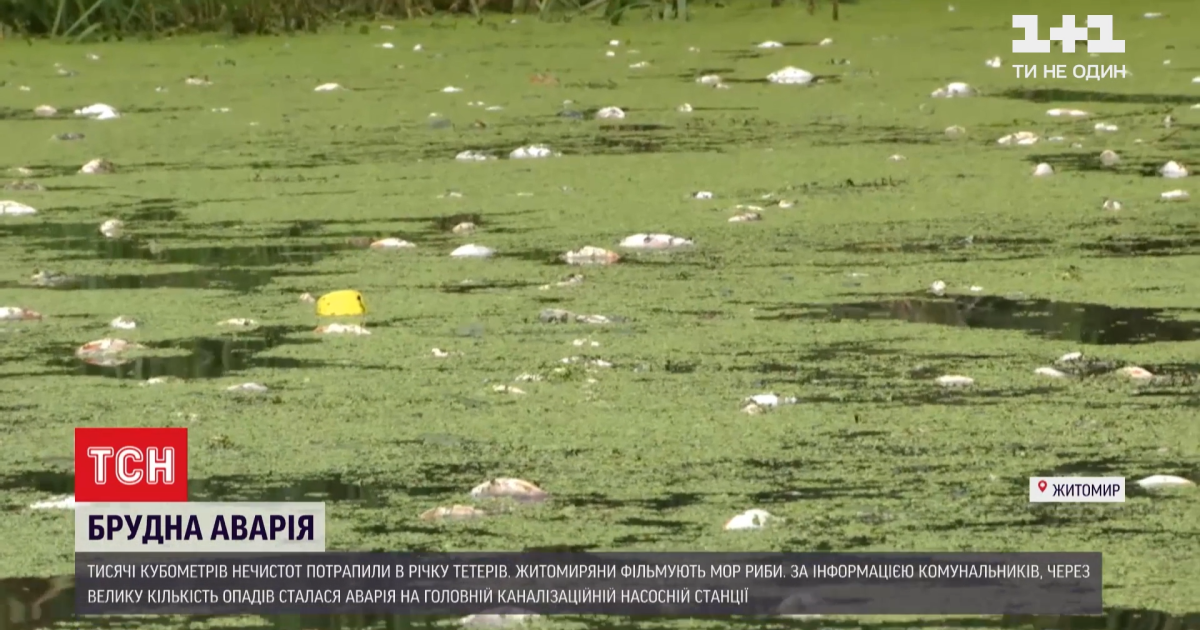 Аварія на каналізаційній станції в Житомирі: тисячі кубометрів нечистот кілька днів ллються у річку