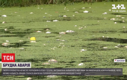 Аварія на каналізаційній станції в Житомирі: тисячі кубометрів нечистот кілька днів ллються у річку