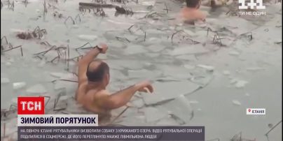 Новости мира: в Испании копы вытащили из озера собаку, которая провалилась под лед