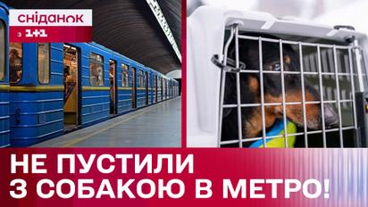 Відмовили у користуванні метрополітеном з собакою! Які правила діють у Києві та інших містах світу?