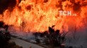 В калифорнийских пожарах могут сгореть имения Джорджа Лукаса и Милы Кунис