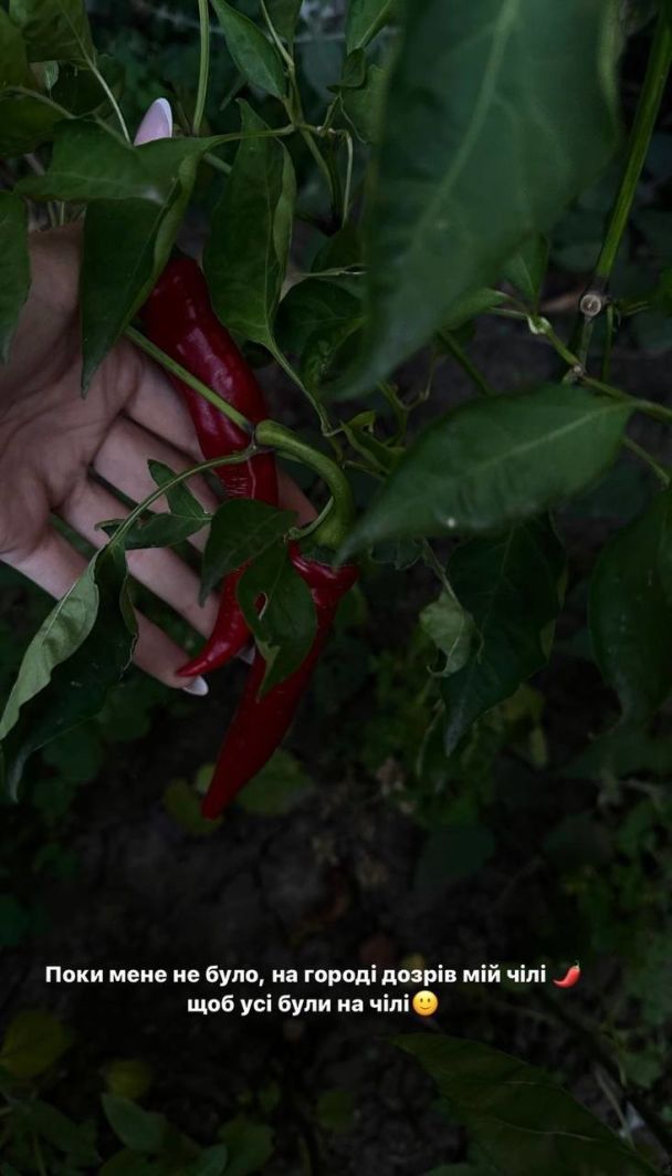 Леся Никитюк показала осень / © instagram.com/lesia_nikituk