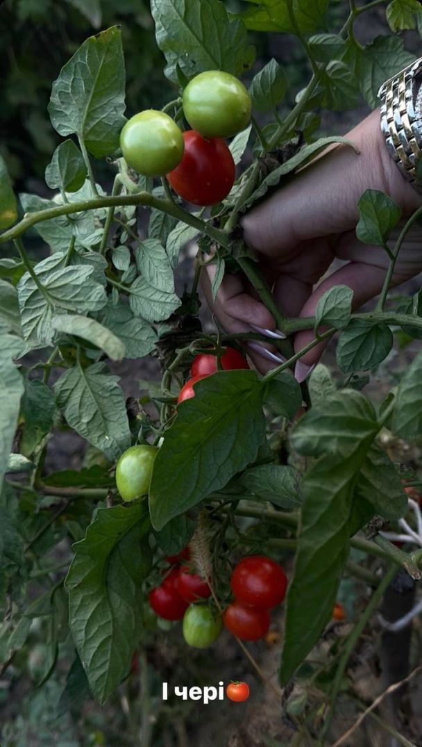 Леся Никитюк показала осень / © instagram.com/lesia_nikituk